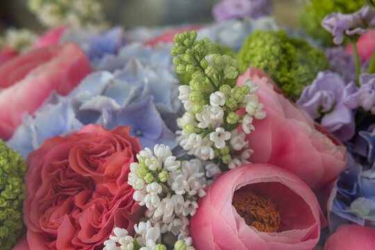 Macro shot of colorful bouquet with lilac roses and hydrangea