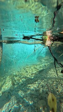 Crystal mountain river with a current and bubbles, immersion of the camera in water