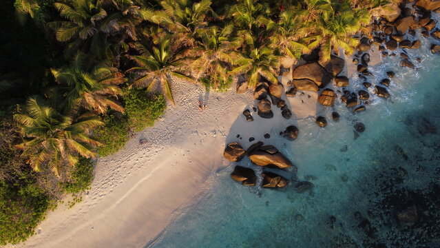 Drone view of sandy shoreline, clear turquoise water, and rocky outcrops beside lush palm forest.
