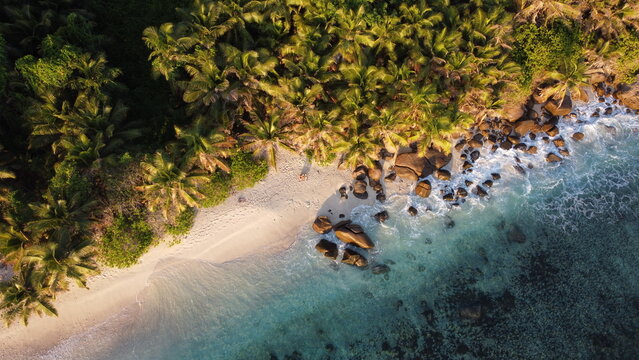 Aerial view of sandy coast, palms, and turquoise waves breaking on rocks.