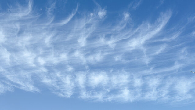 Delicate white cirrus clouds sweep across a bright blue daytime sky. Peaceful nature view, tranquil atmosphere, meteorological scenery.