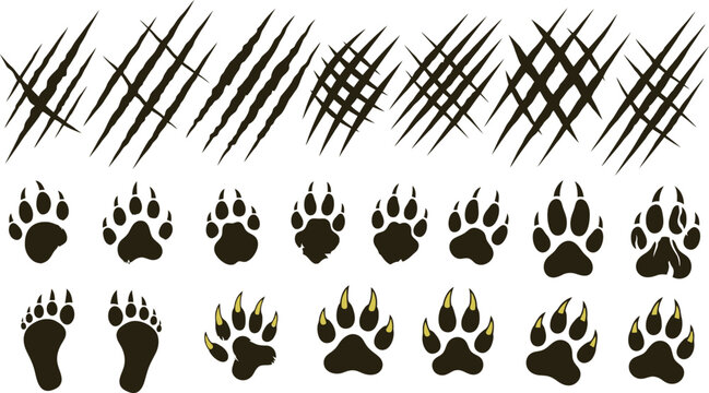 Vector graphic illustration of animal claw scratch marks and wild paw prints design elements collection.