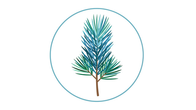 Teal-outlined circle frames a watercolor pine sprig with green and blue needles