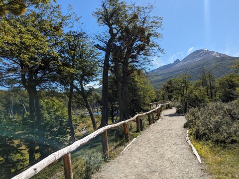 Gravel trekking path with a rustic wooden log fence through the Lenga forest. Wide view of a large green mountain under a clear blue sky in Tierra del Fuego National Park near Ushuaia.