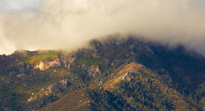 Thick cloud obscuring a peak in the Huachuca Mountains in early morning