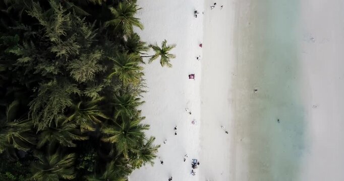 Boracay Beach and Palm Trees Top Down Drone Shot &ndash; Philippines