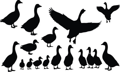Goose and duck silhouettes, waterfowl vector illustration, flying birds artwork, standing geese design, walking ducks collection, black silhouette animal poses © Its Saidul 