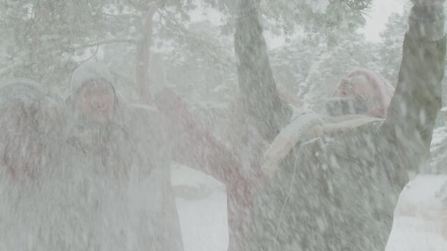 Joyful group of gen Z friends shaking pine tree branches making snow drift while having fun in winter forest