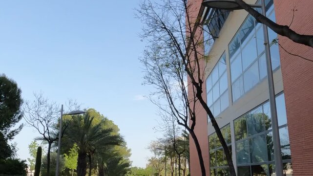 elX alicante espa&ntilde;a