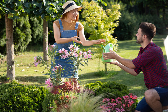Friends work in garden during sunny afternoon