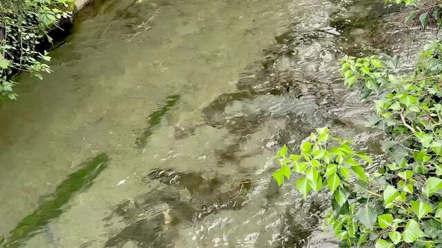 Italy, Limone  , April 24, 2026.
Abstract flowing water surface texture with ripples.
Author: Djundiet A.