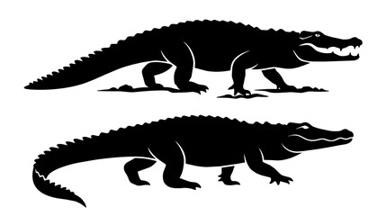 Fototapeta premium Crocodile silhouette walks on white studio background. Two side profiles stack and show motion and contrast.