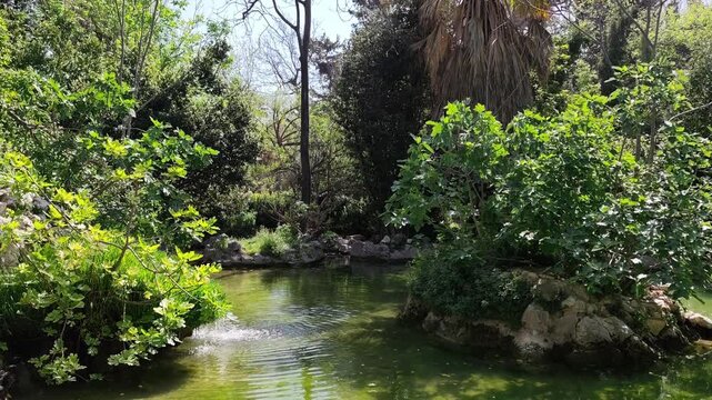 View of the serene green pond of Athens National Garden (Ethnikos Kipos), a lush public park in the heart of the city. 