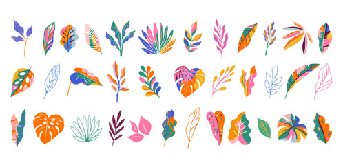 Fototapeta na wymiar Tropical colorful jungle leaves collection. Exotic summer illustrations and graphic elements set.