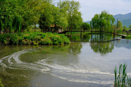 Tranquil pond with a wooden bridge and lush green trees reflecting in the water