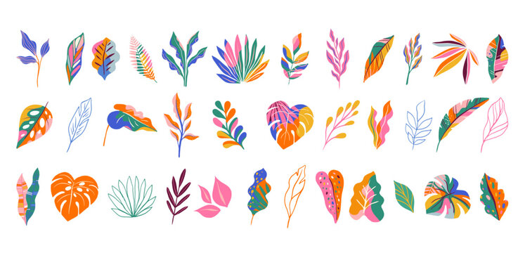Tropical colorful jungle leaves collection. Exotic summer illustrations and graphic elements set.