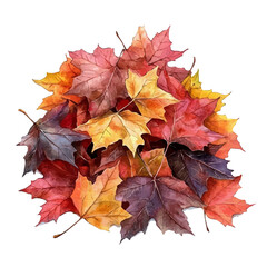 Fototapeta premium watercolor hand-drawn of Autumn Leaves Ground Cover, isolated on a white background.