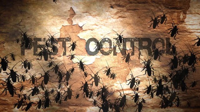 Grunge Pest Control Concept with Cockroach Infestation on Cracked Wall