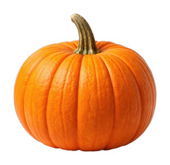 Obraz premium PNG Vibrant autumn pumpkin harvest decoration.