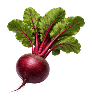 PNG Fresh vibrant beetroot with leaves.