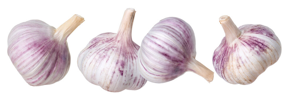 Fresh garlic bulbs flying in air against white background