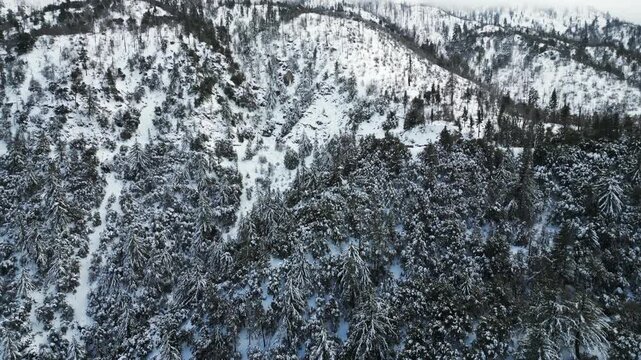 The California San Gorgonio San Bernardino Mountain Range near the Santa  Ana Watershed covered in snow along SR 38 through the Mountain Pass