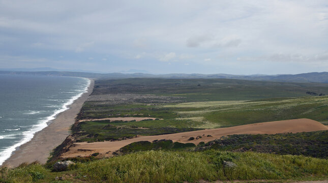 View of coast with sand dunes at Point Reyes, California