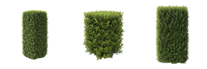 Naklejka premium Set of Long Rectangular Garden Hedge Isolated on White Background, PNG