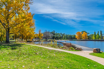Fototapeta premium Autumn Day at Lake Canobolas