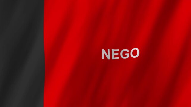Paraiba State Flag Brazil 4K Realistic Waving Bandeira da Paraiba Nego