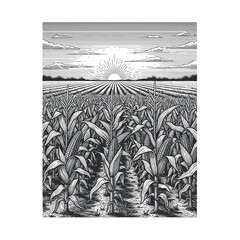 Sunrise Over Cornfield, Agricultural Landscape, Vintage Engraving Style © Tembok