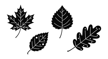 Four detailed leaf shapes presented as a striking black silhouette © Lhvect02