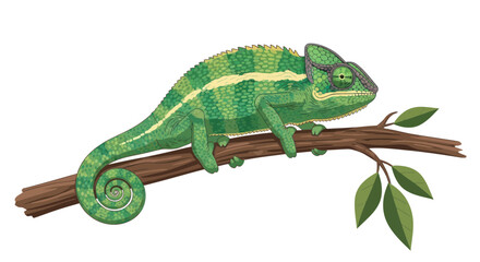 Green chameleon perched on a branch with leaves © udin