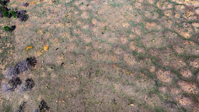 Murundu fields are geomorphological formations, with small convex mounds of earth up to 20 meters in diameter as groundwater recharge areas, they are threatened with extinction. Bras&iacute;lia, 2025