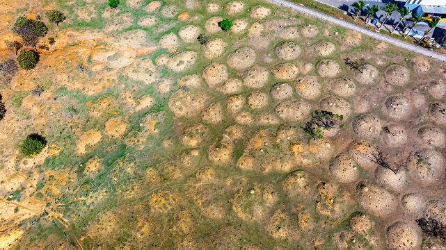 Murundu fields are geomorphological formations, with small convex mounds of earth up to 20 meters in diameter as groundwater recharge areas, they are threatened with extinction. Bras&iacute;lia, 2025