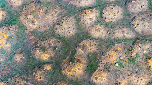 Murundu fields are geomorphological formations, with small convex mounds of earth up to 20 meters in diameter as groundwater recharge areas, they are threatened with extinction. Bras&iacute;lia, 2025