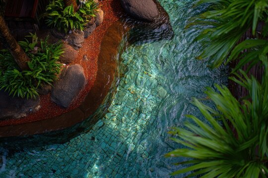 水面近くに緑の植物や石があるプール