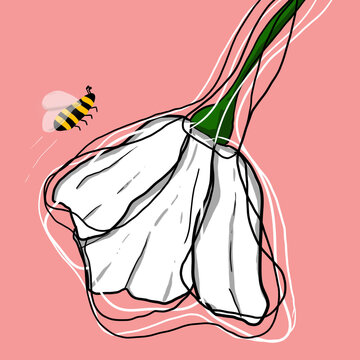 vector illustration of a flower and a bee