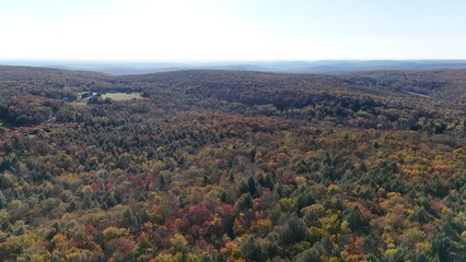 Fototapeta premium aeriel fall trees 