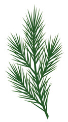 Obraz premium Green Pine Branch Isolated White Background
