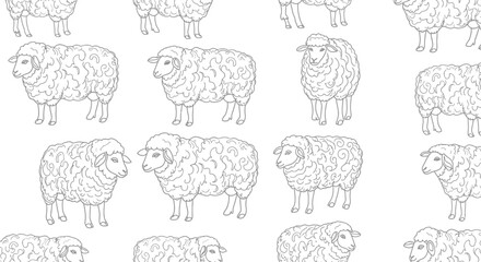 Seamless pattern of hand-drawn sheep sketches on white background, farm animal illustration © Azizi