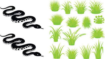 Fototapeta premium Vector Illustration Set of Black Snake Silhouettes and Green Grass Plants for Wildlife, Nature, Jungle, Outdoors, Reptile, and Digital Designs