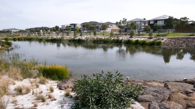 A newly constructed urban stormwater retention lake surrounded by native riparian plantings in a modern  housing estate in Tarneit, Melbourne, Australia.&nbsp;Water sensitive urban design and local wetland