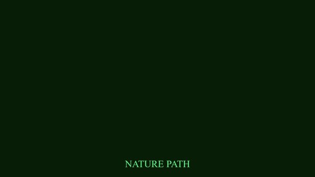 Minimalist nature path animation