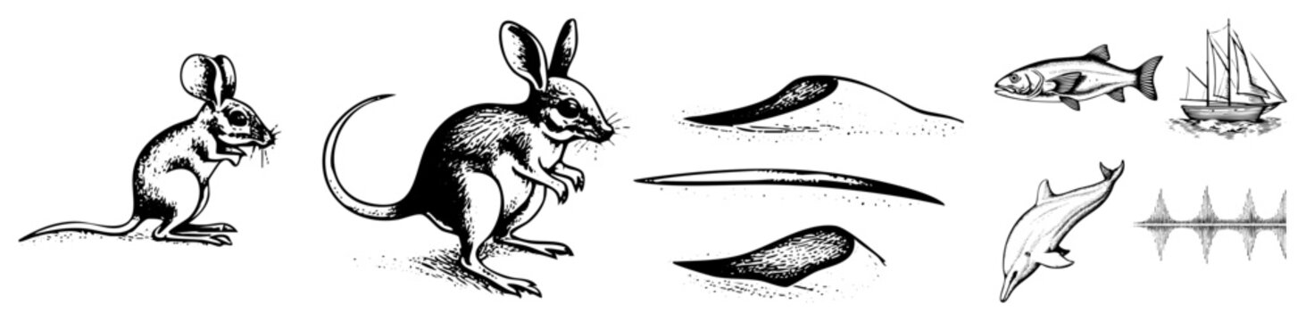Retro natural history drawings featuring mammals, fish, dolphin, sailboat, and waveform antique zoological sketches, scientific illustration, old school biology diagrams.