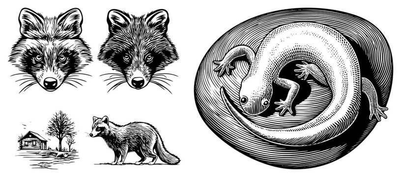 Detailed animal portraits including vulpine head, woodland fox, and curled salamander rustic cabin landscape adds context. Perfect for print or tattoo design.