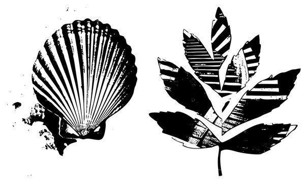 Stylized scallop and maple leaf rendered in high contrast, autumn foliage motif, linocut inspired graphic with distressed texture.