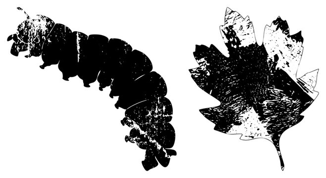 Silhouetted insect larva and autumn foliage rendered in distressed, grunge cutout style, vintage print aesthetic, ink stamp effect, weathered design.