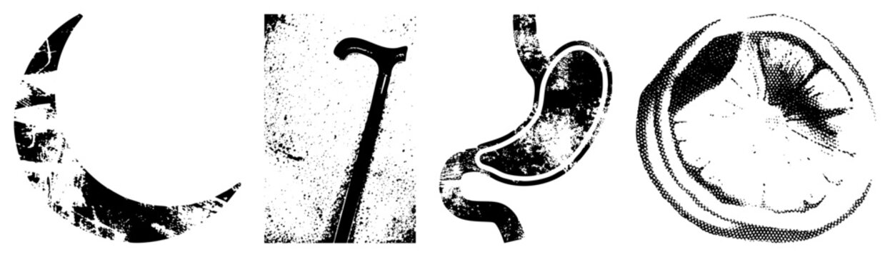 halftone glyphs depicting lunar, walking stick, gastric organ, and citrus section also known as moon phase, crutch, stomach anatomy, orange cutaway.