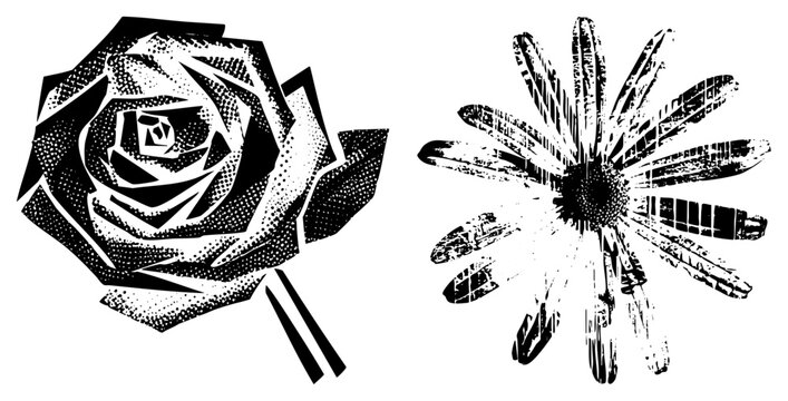 Botanical halftone graphics featuring stylized rose bloom and daisy flower, stipple art, dot matrix design, plant cutouts for print or web.